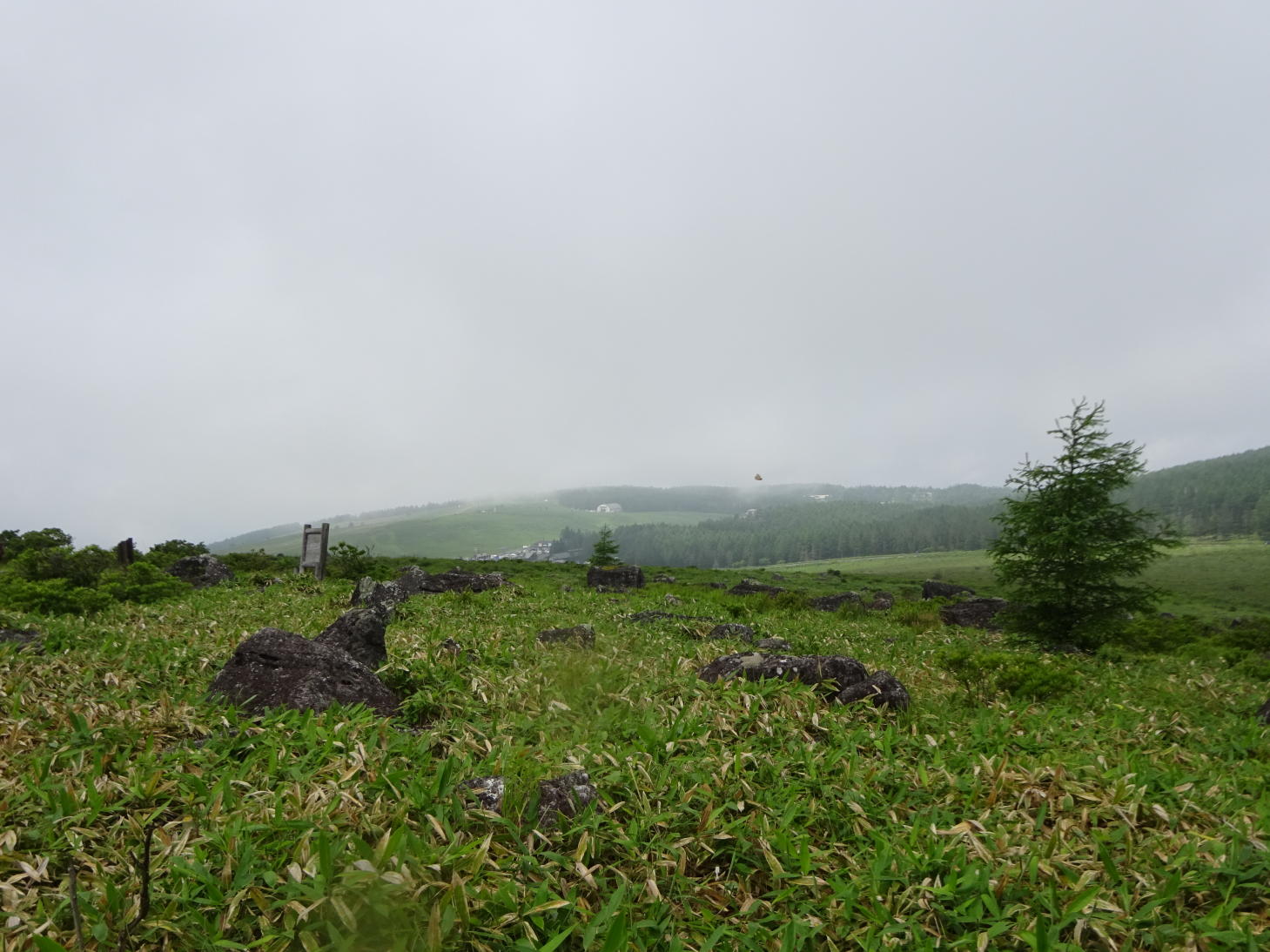 霧ヶ峰