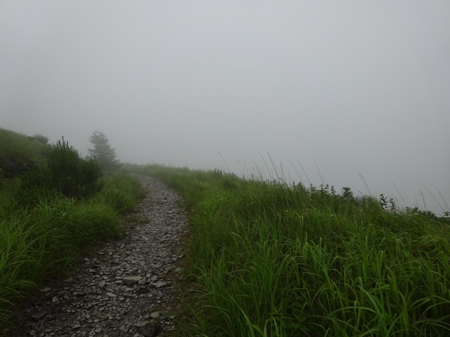 霧ヶ峰