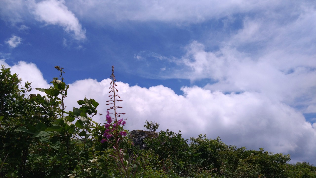 霧ヶ峰