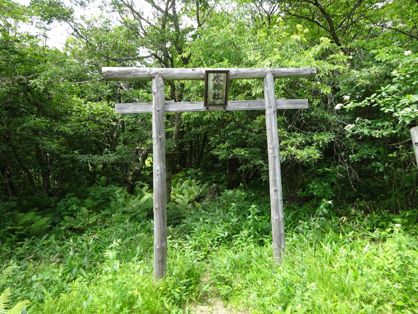 霧ヶ峰