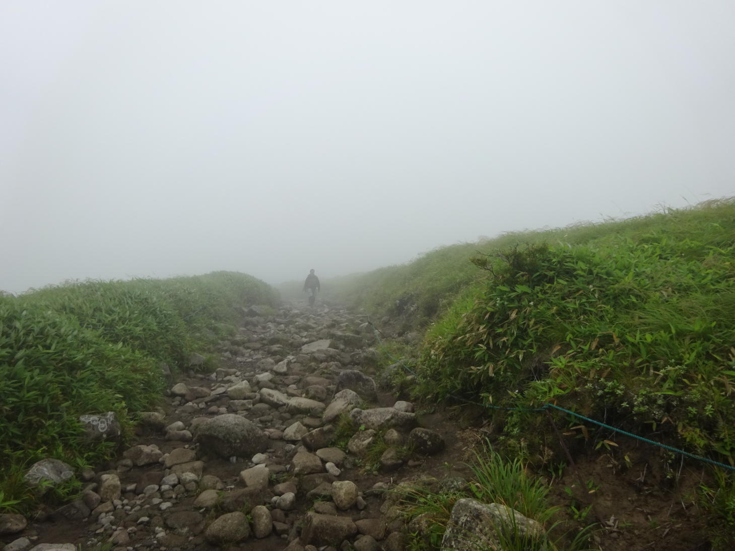 霧ヶ峰