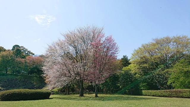 石垣山