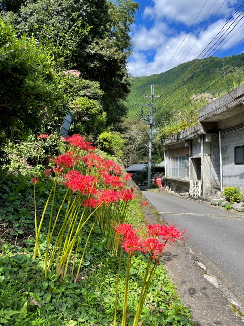 鳩ノ巣渓谷