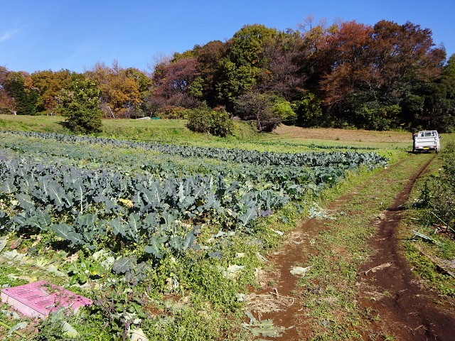 小野路の里