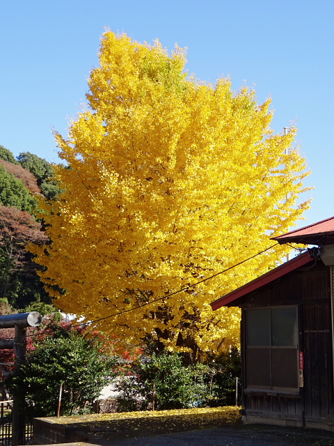 小野路の里