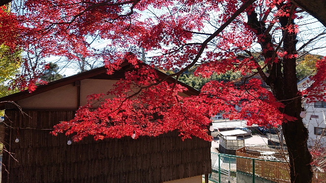 小野路の里