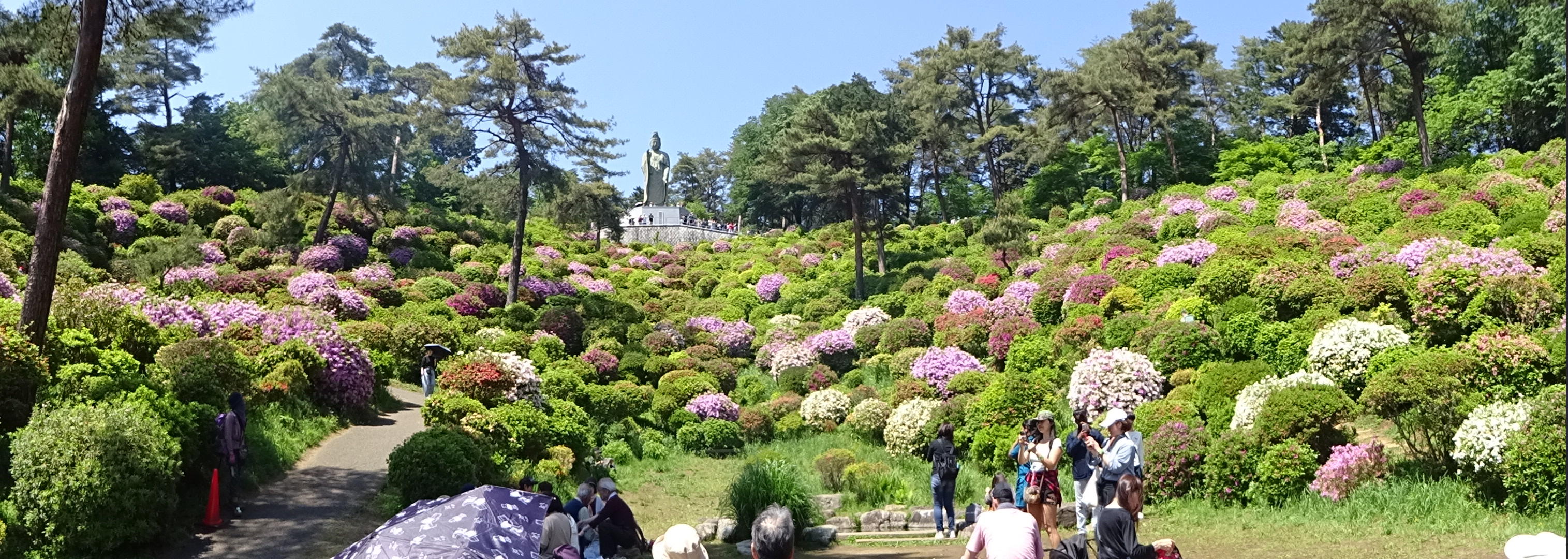 塩船観音寺