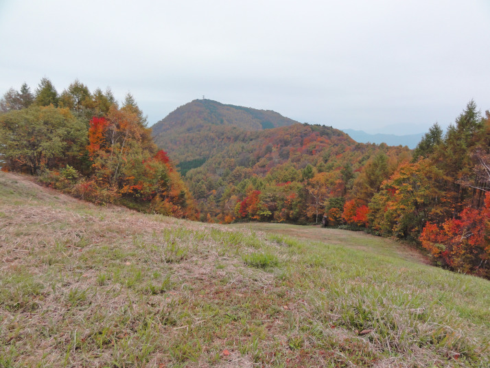 吾妻邪山