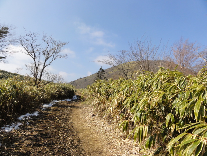 竜ヶ岳