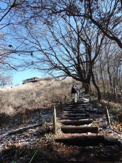 陣馬山