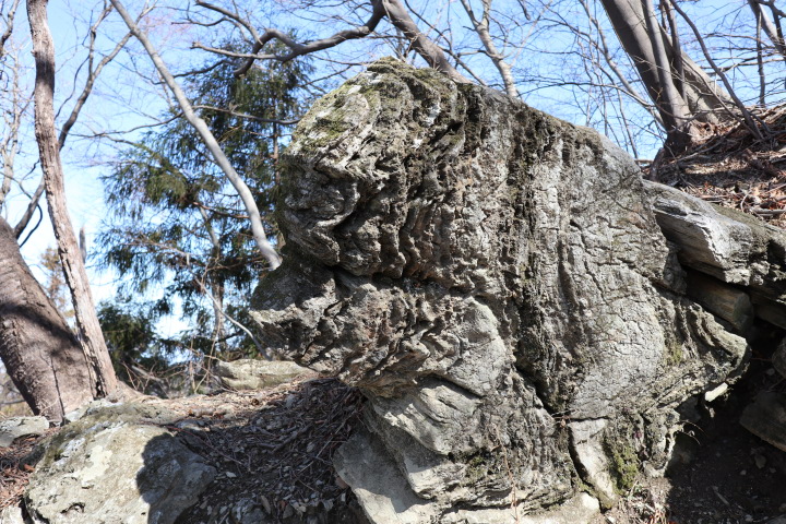 大霧山