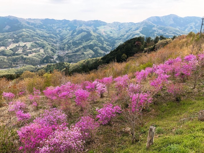 蓑山