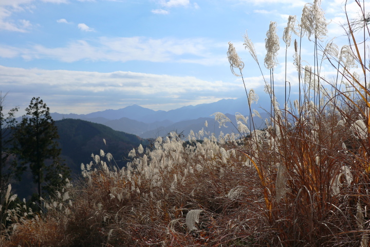 景信山