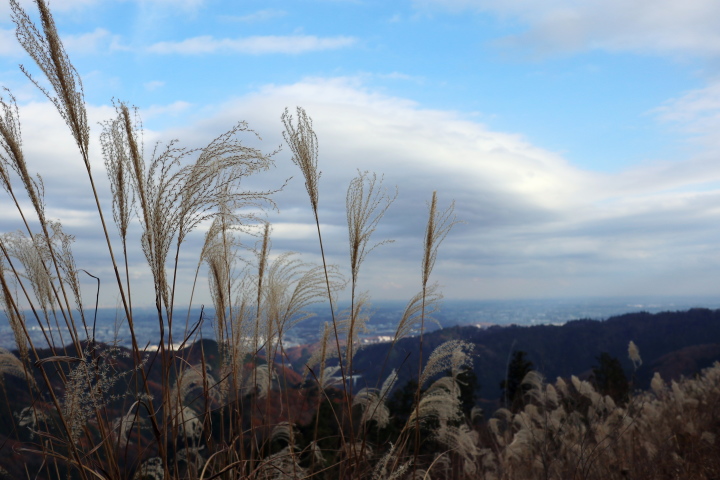 景信山