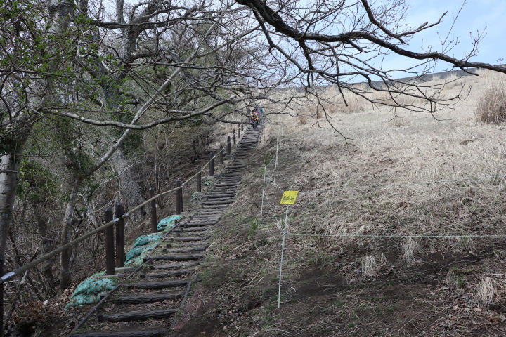 大野山