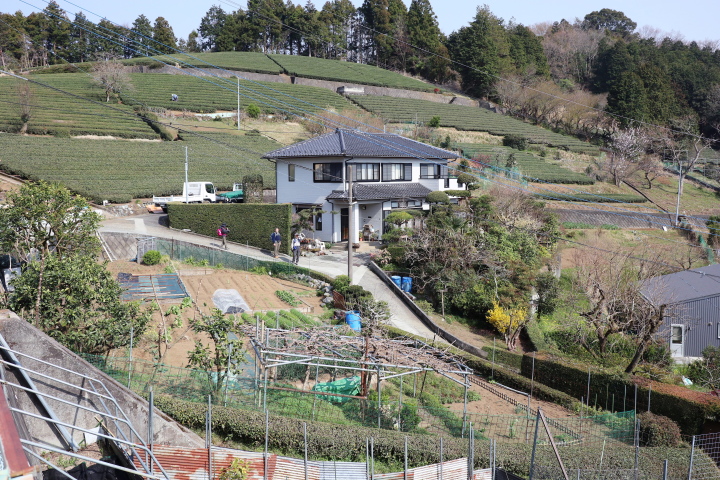 大野山