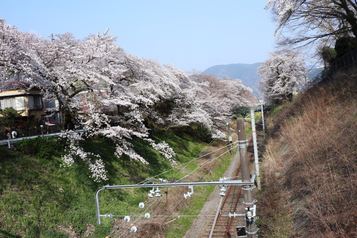 大野山