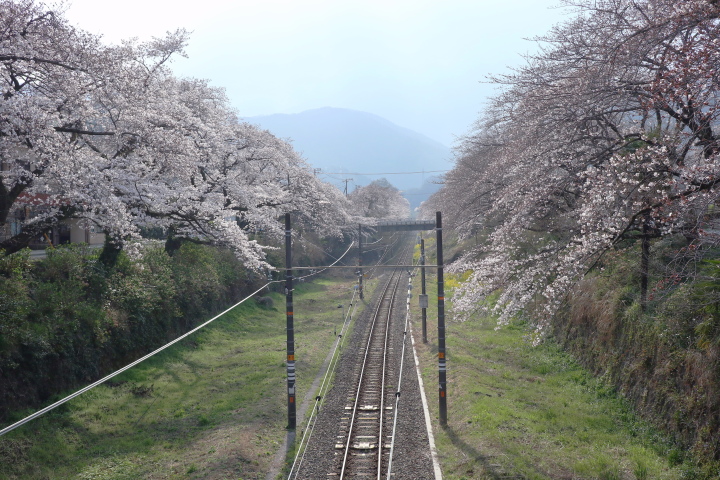 大野山