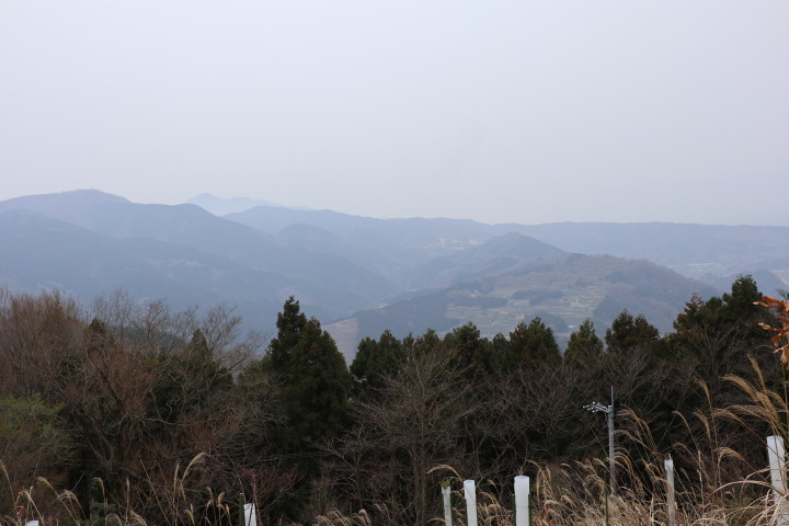 大野山