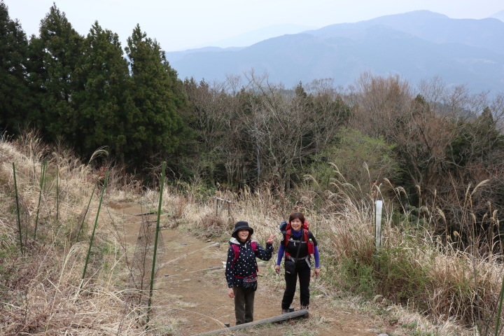 大野山