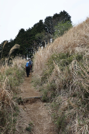 大野山