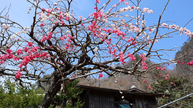 岩櫃山