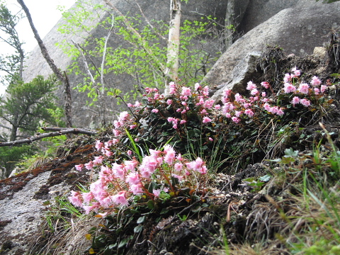 瑞牆山