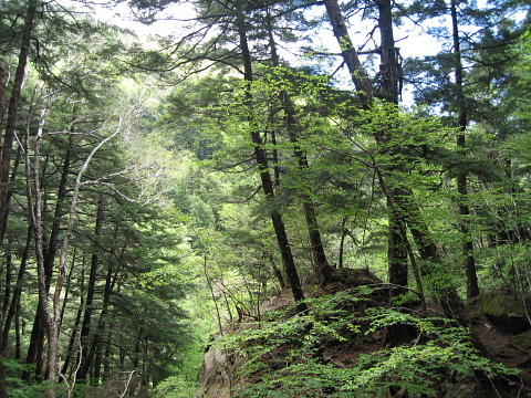 瑞牆山