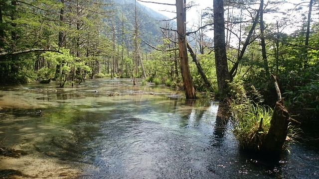 焼岳