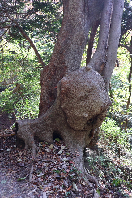 相馬岳