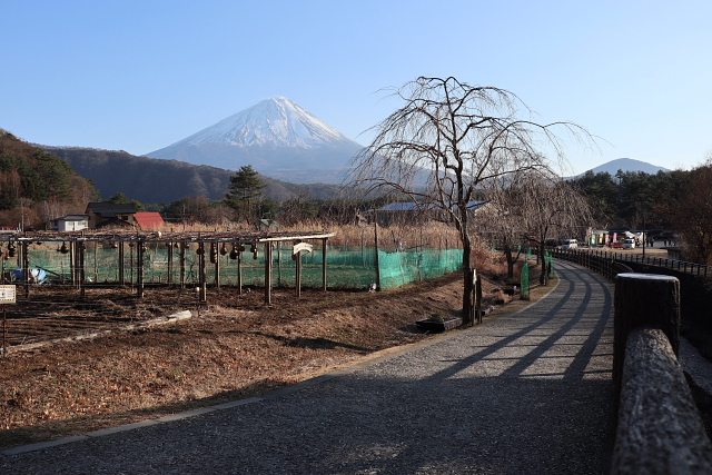 鬼ケ岳