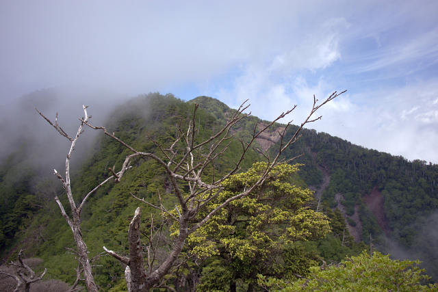 大薙山