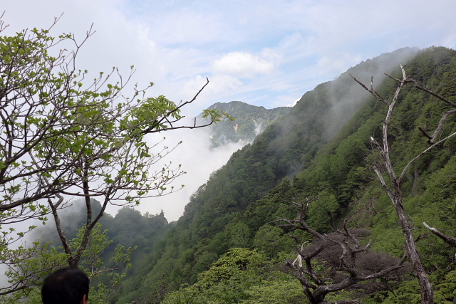 大薙山