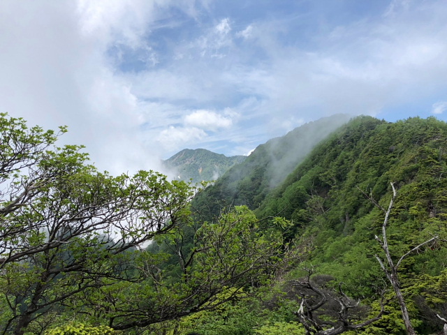 大薙山