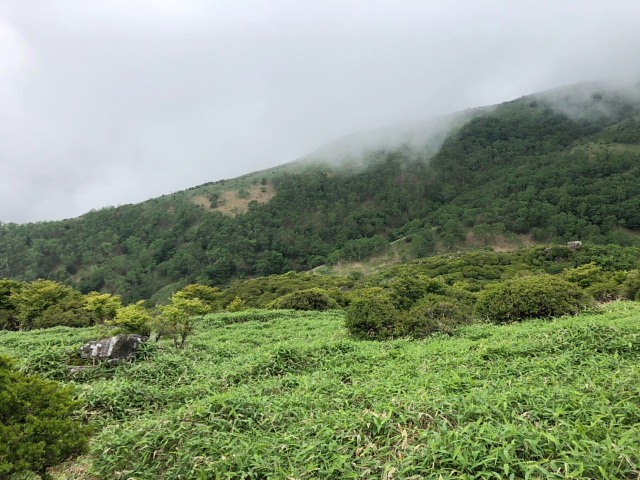 大薙山