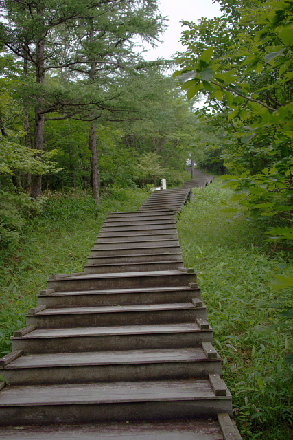 大薙山