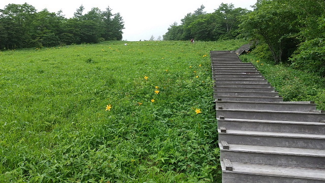 大薙山