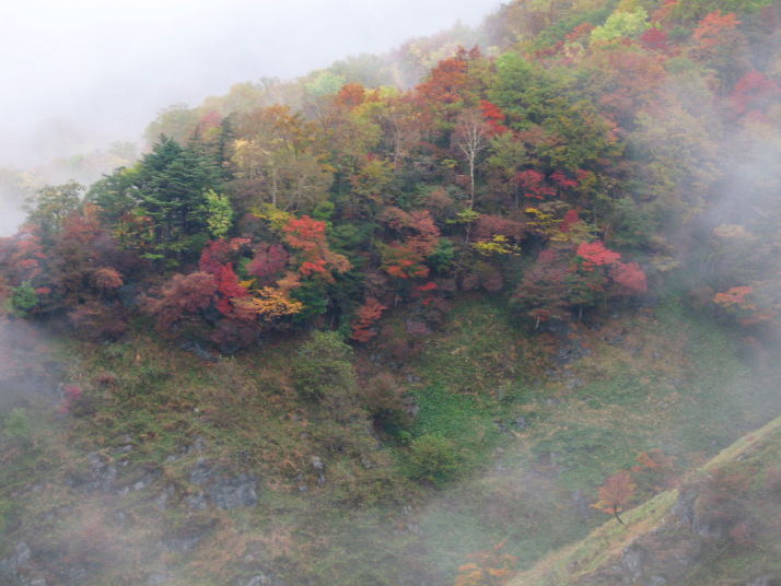 袈裟丸山