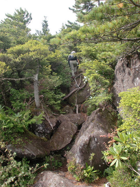 北横岳