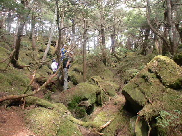 北横岳