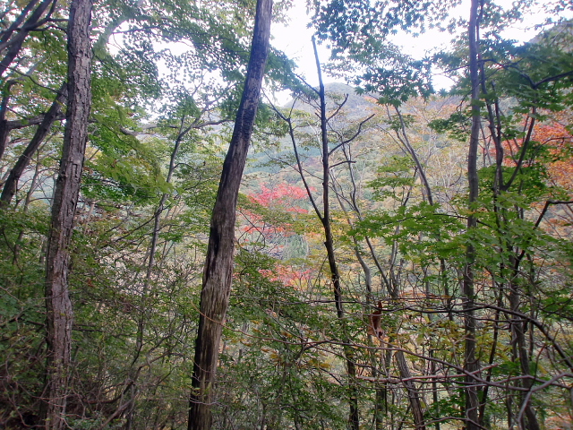 天狗山