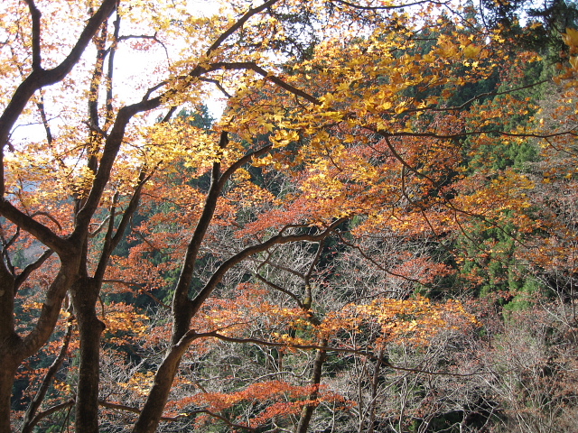 御岳山