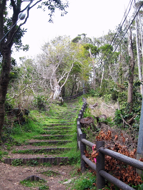 富山