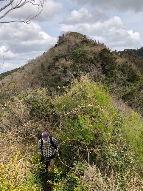 富山