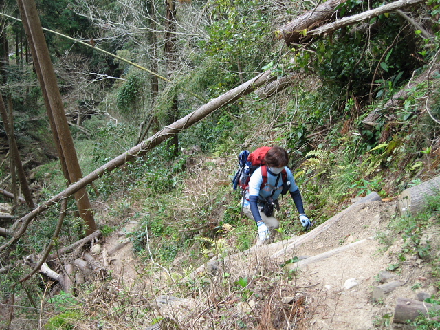 富山