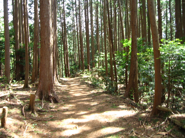 関八州見晴台