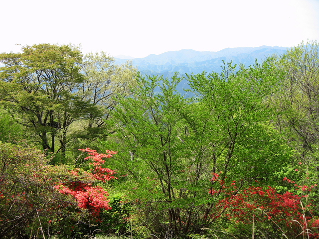 関八州見晴台