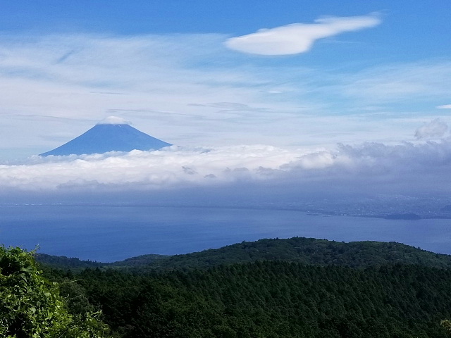 達磨山