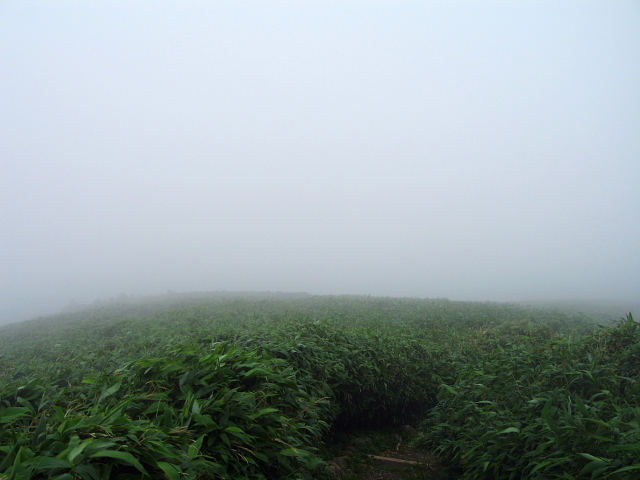 達磨山