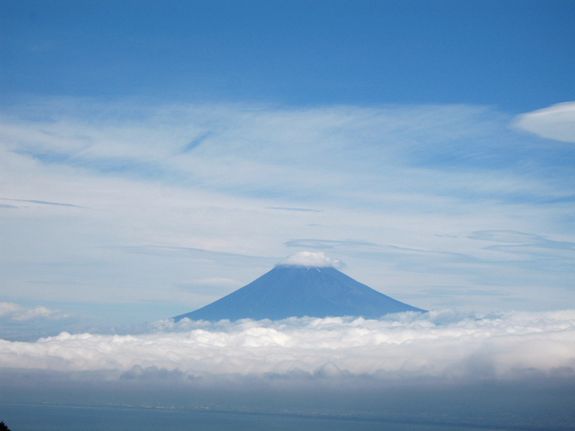 達磨山